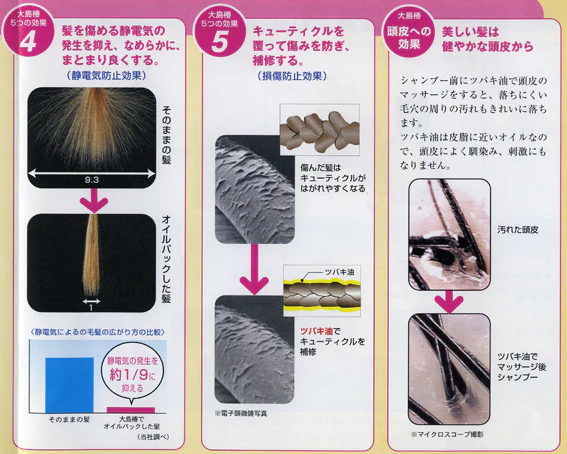 Oshima Tsubaki Camellia Hair Care Oil - Image 3