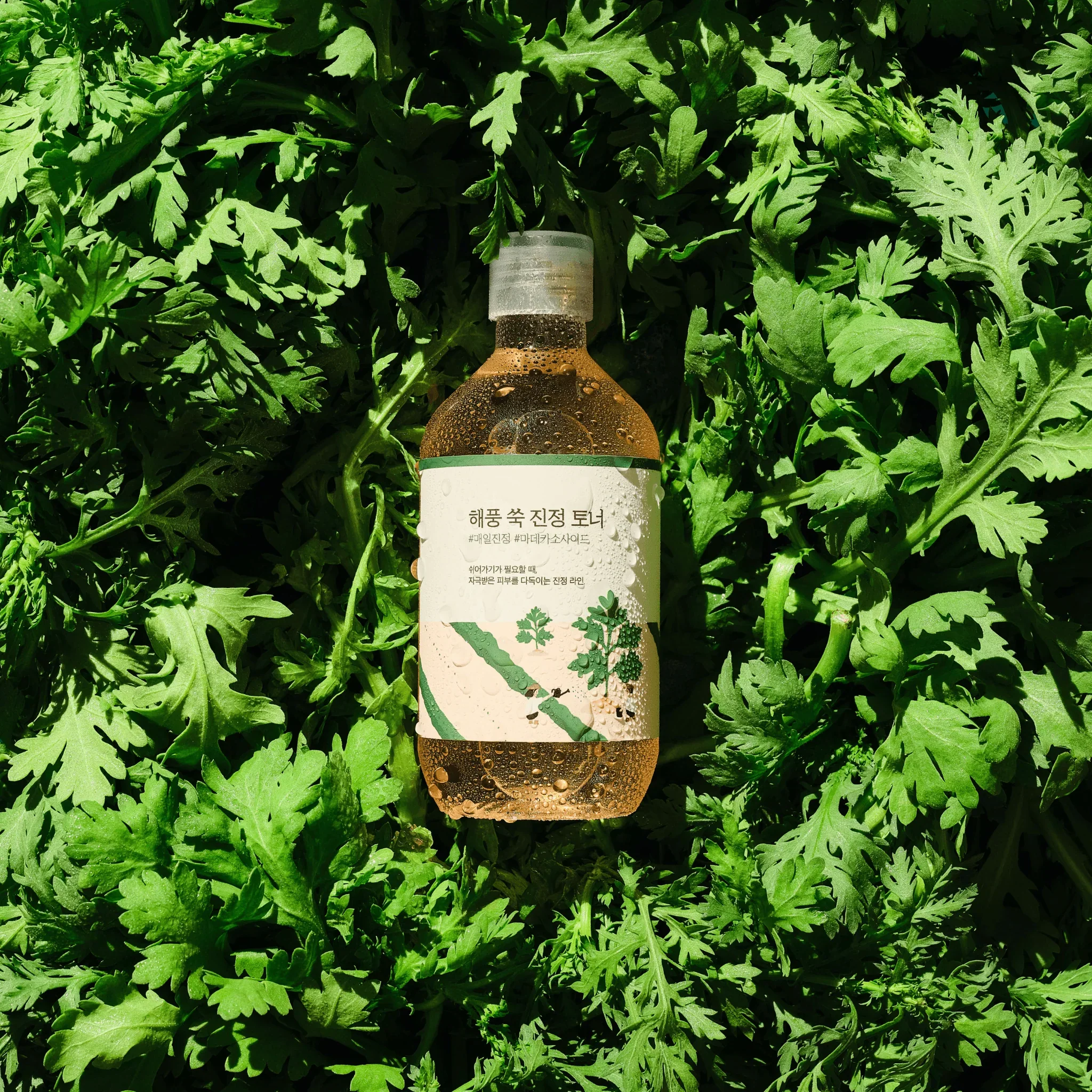 Round Lab Mugwort Calming Toner - Image 2