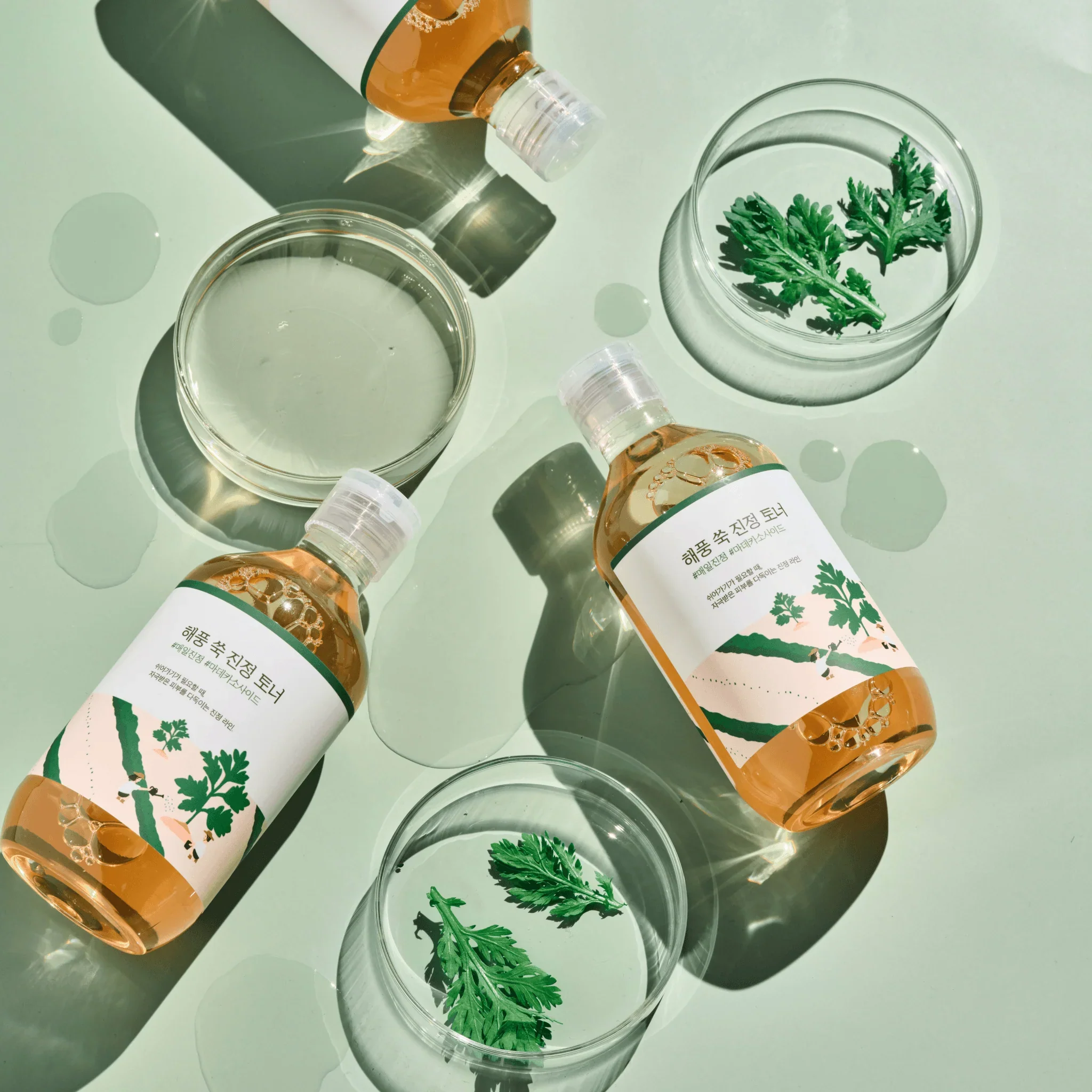 Round Lab Mugwort Calming Toner - Image 3